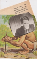 11_a12.jpg