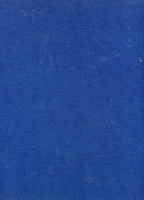 35_c6.png