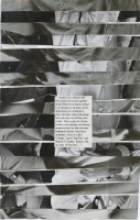 39_collage-12.jpg