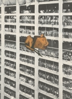 39_collage-13.jpg