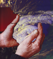 3_hands.png