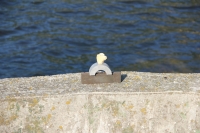 41_img4265.jpg