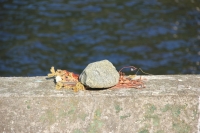 41_img4269.jpg