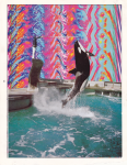 6_orca.png