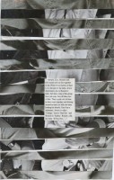 https://www.coupeletat.org/files/gimgs/th-39_39_collage-12.jpg